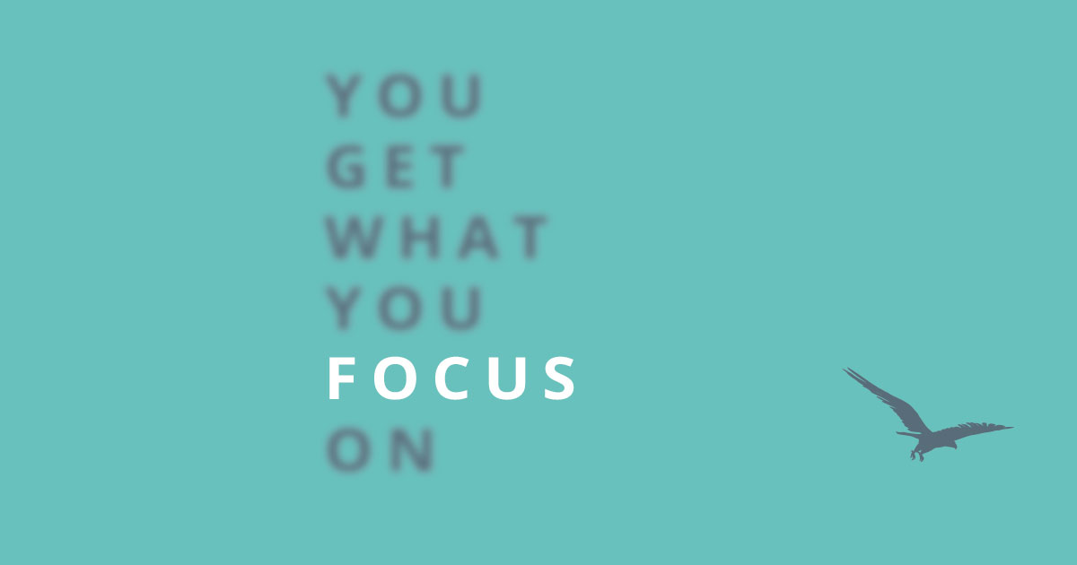 You get what you focus on